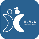 BVU Academy